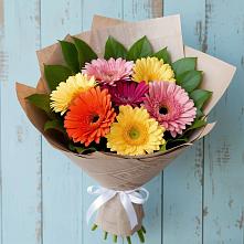 Букет цветов из:  Герберы в Мари-Туреке