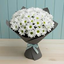 Букет цветов из:  Хризантемы #REPLACE_PRED# Мари-Туреке