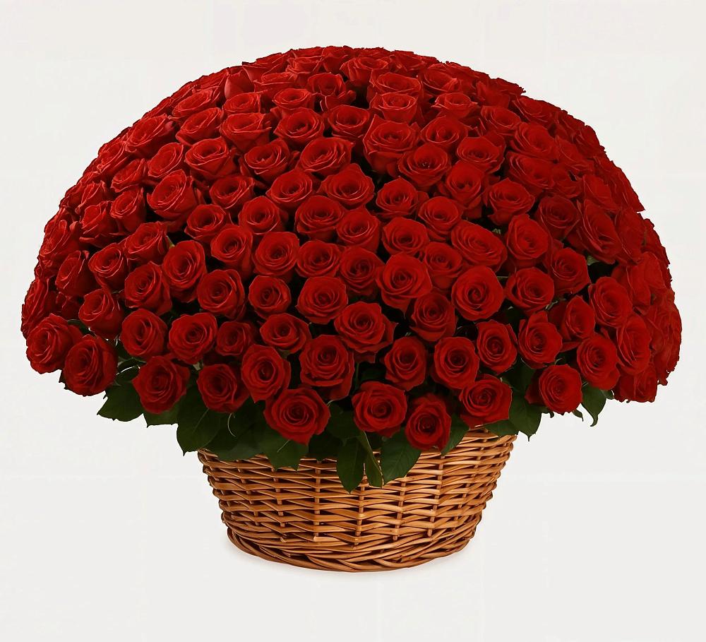 251 Премиум красная роза в Мари-Туреке Премиум букет из: Розы в Мари-Туреке